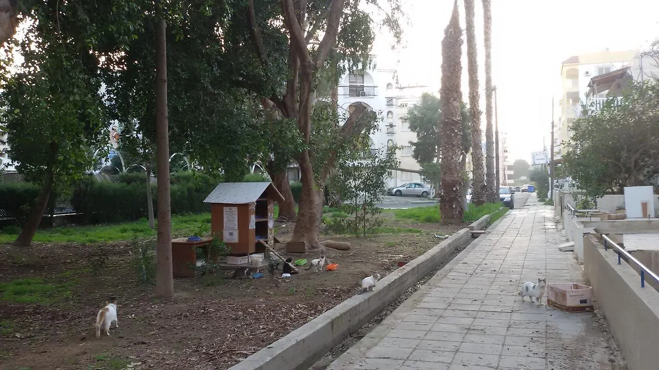 Lca2 Flat For You Apartment Larnaca